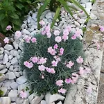 Apartamento 1 Zadar